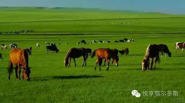 不包邮的内蒙有多大,你们知道内蒙古到底有多大吗