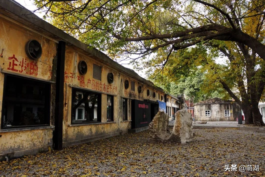 10年红专厂│广州文艺青年的圣地，在一步步远去