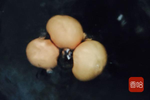 35年大厨告知煮鸡蛋时，牢记这一步，鸡蛋“自动”脱壳，超好剥