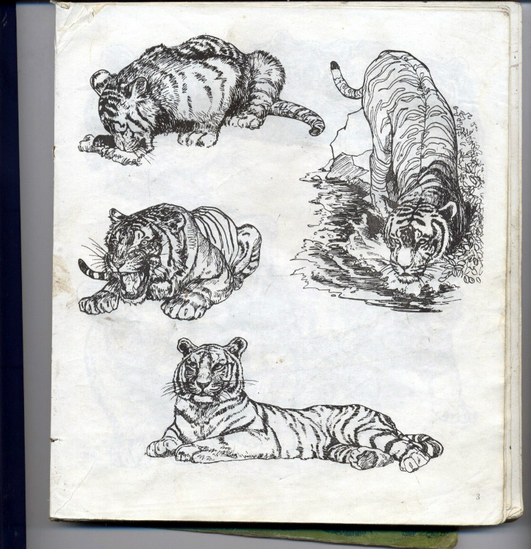 一百幅动物素描,近百幅动物画