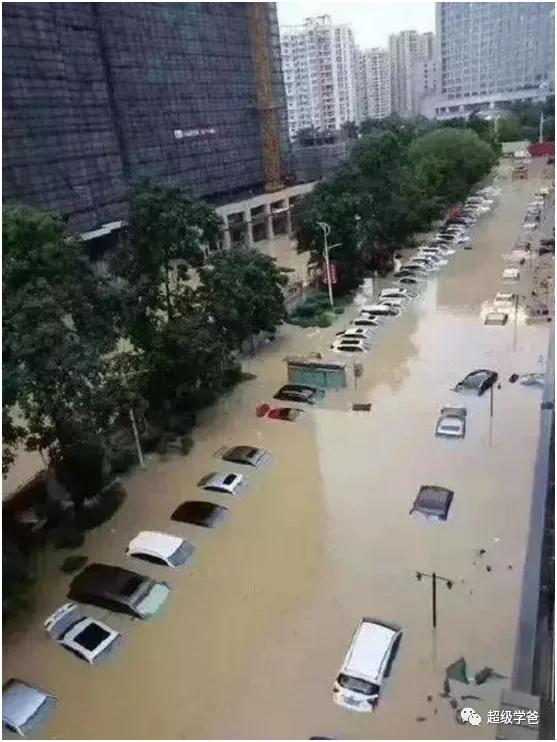 带你走进山西洪洞大槐树,山西洪洞大槐树背后的故事