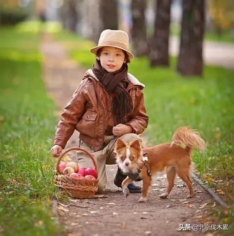 带宠物遛娃好去处,遛娃遛狗一起来