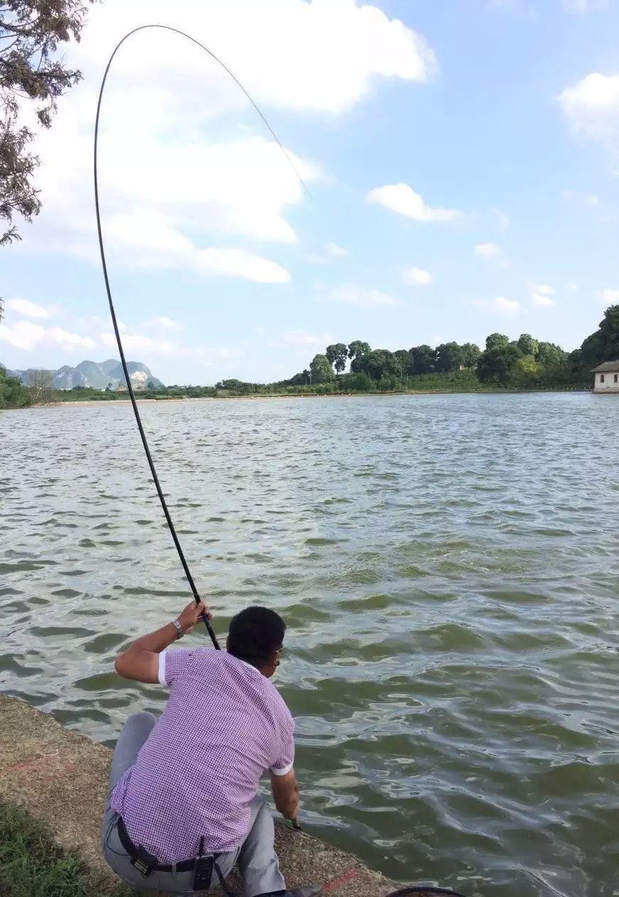 高碳素和低碳素什么区别,高碳素鱼竿优缺点