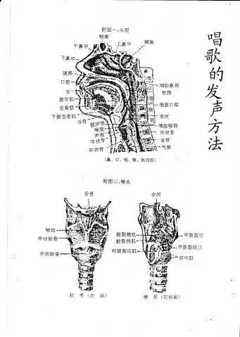 唱歌如何发声打开喉咙,唱歌怎么打开喉头