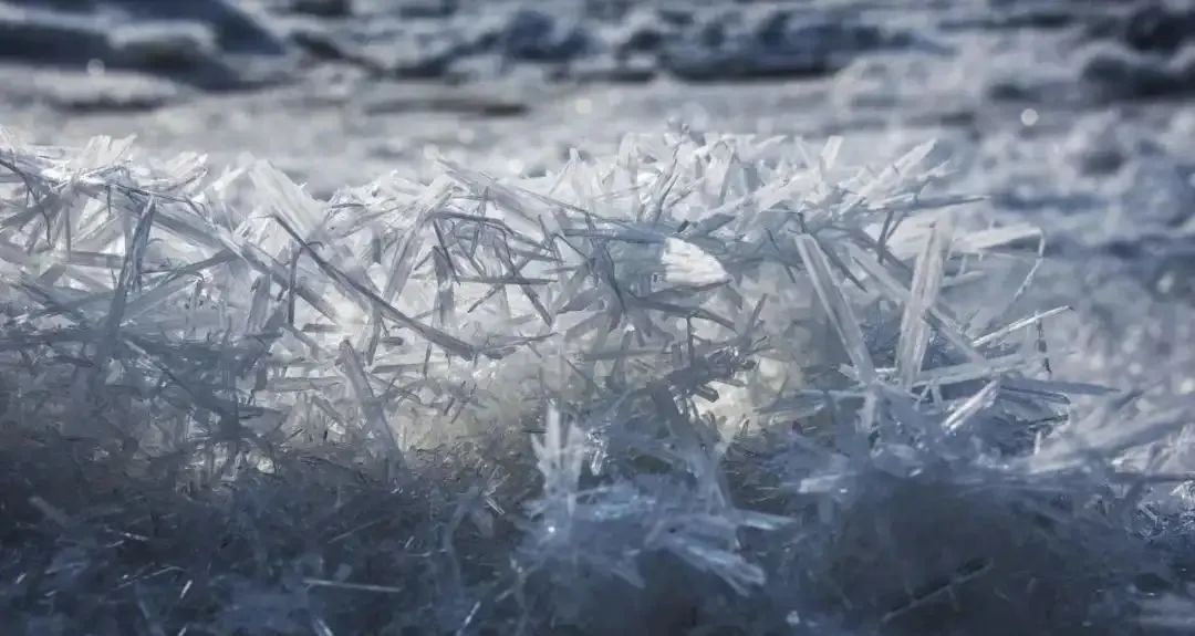 你们听说过死海吗,你听说过海洋中的强大生物吗