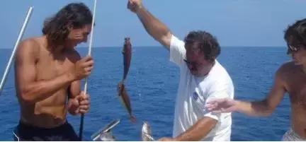 伊布除了足球还擅长什么运动,伊布除了足球还会什么