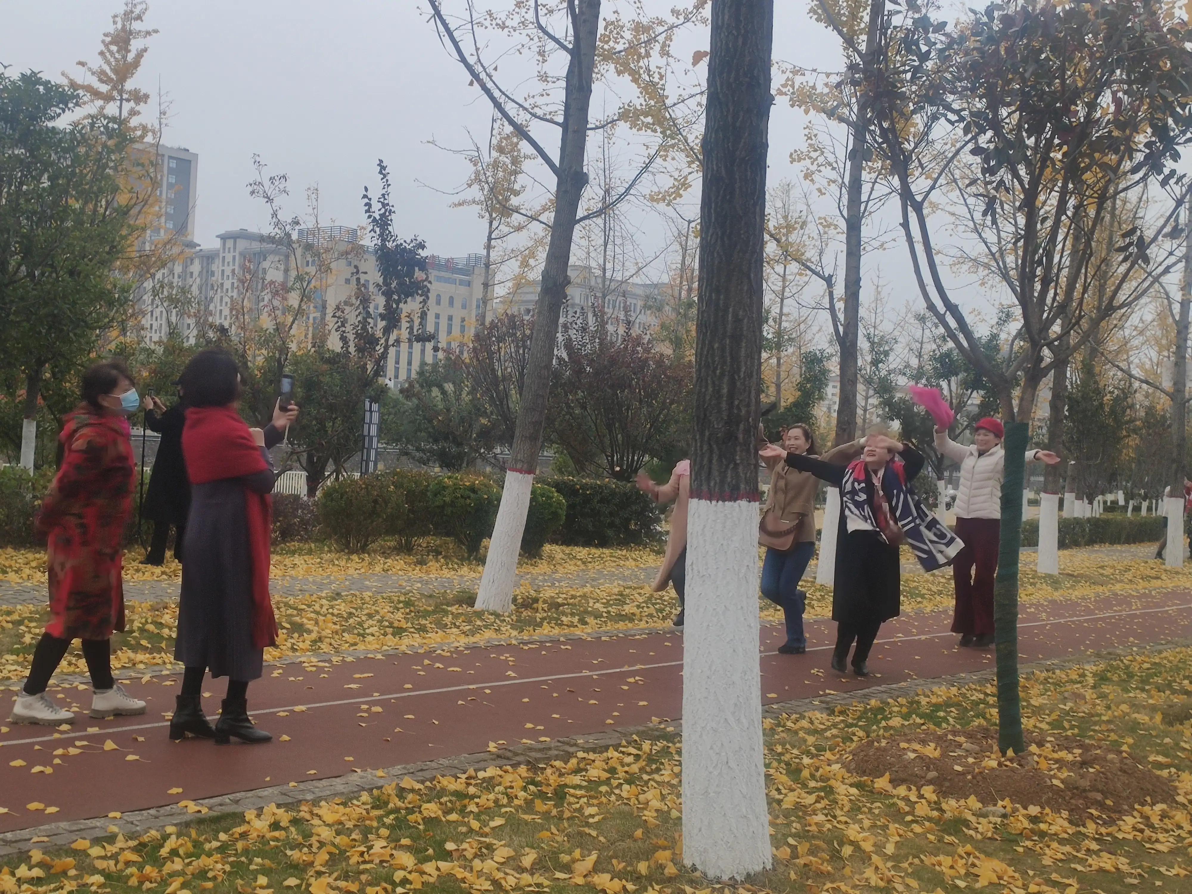 落叶西风,落叶西风知乎