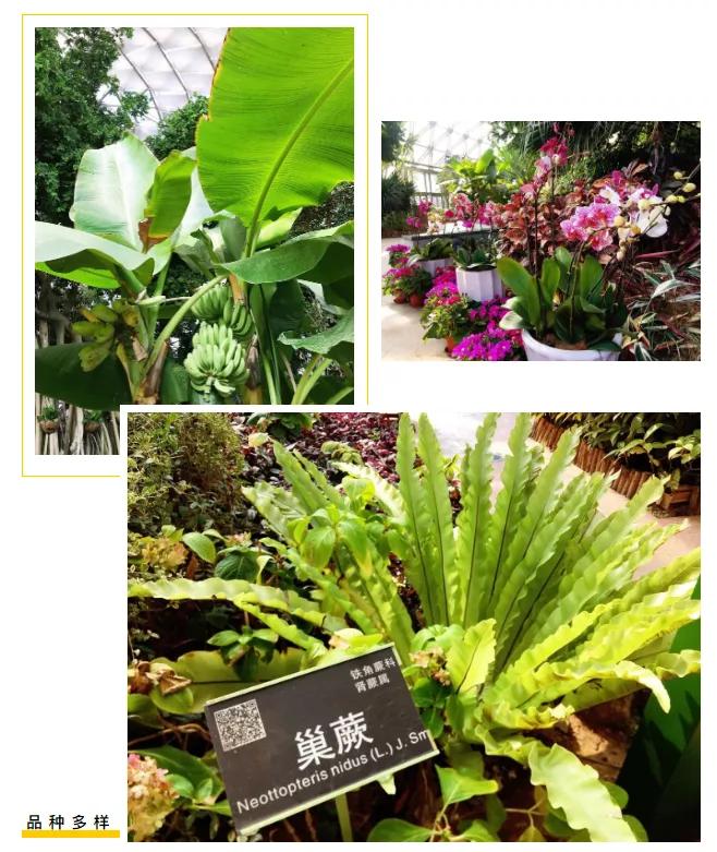 藏不住了！国庆苏州这片花海美哭了！大人小孩玩到不想走