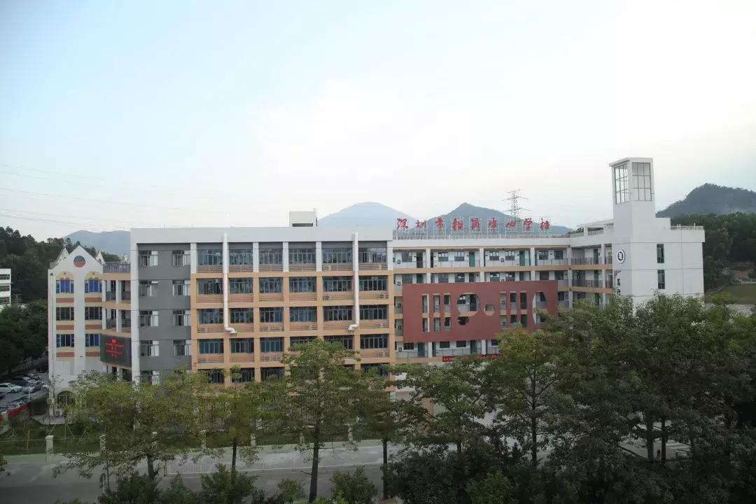 深圳改革开放40周年教育的发展,深圳教育改革最新方案