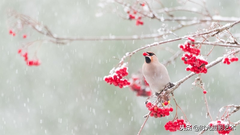 欣赏国际摄影大师作品,英国皇家天文摄影大赛