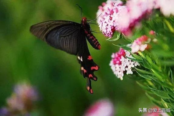 晋城有个啥山,晋城有什么山有名