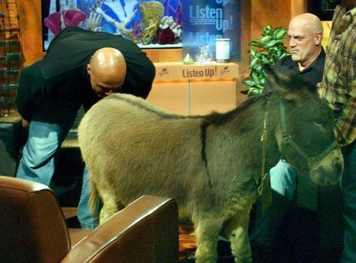 最强nba姚明移动长城怎么触发,中国篮球在姚明带领下强大了吗