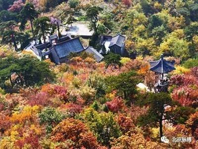 画说回龙观,北京最漂亮的森林公园