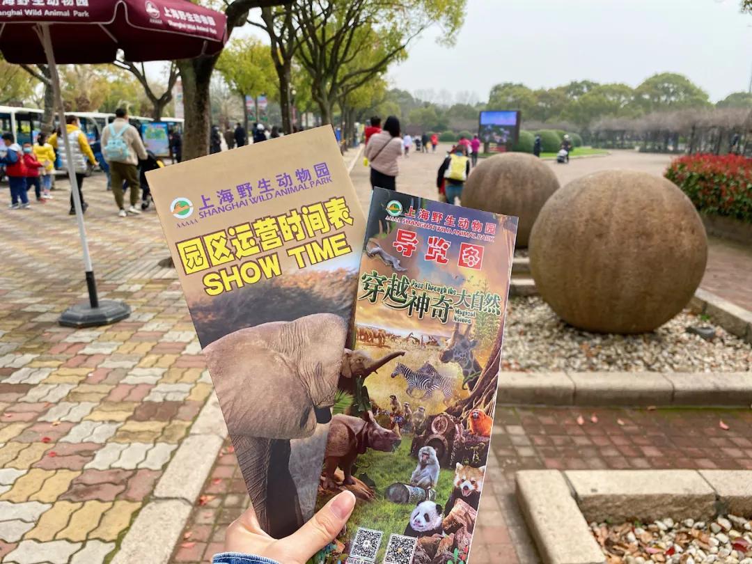 上海野生动物园旅游攻略路线推荐,上海野生动物园旅游攻略50字
