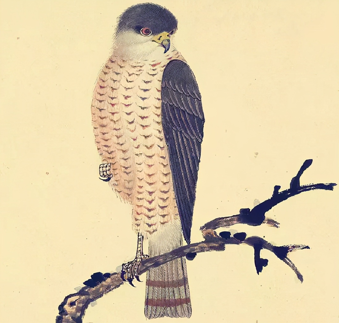 李复祯心意拳传人家谱,李复祯心意拳开膀秘法