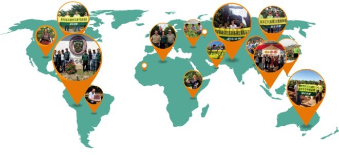 鲜丰水果logo设计多少钱,鲜丰水果发光字