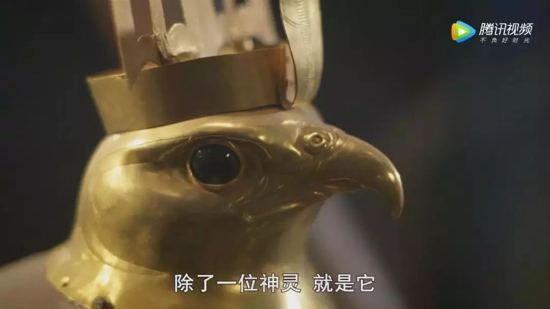 孩子暑期必看的50部神级纪录片,适合孩子和家长一起看的纪录片