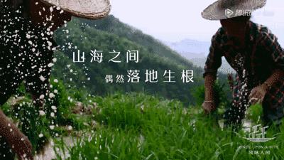 人间有味是清欢书籍于丹,人间有味是清欢精读