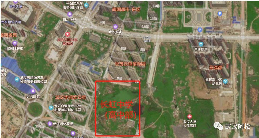 厉害了大湾区,厉害了大中国