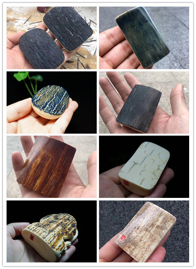 文玩流行的动物制品 (十种野生文玩)