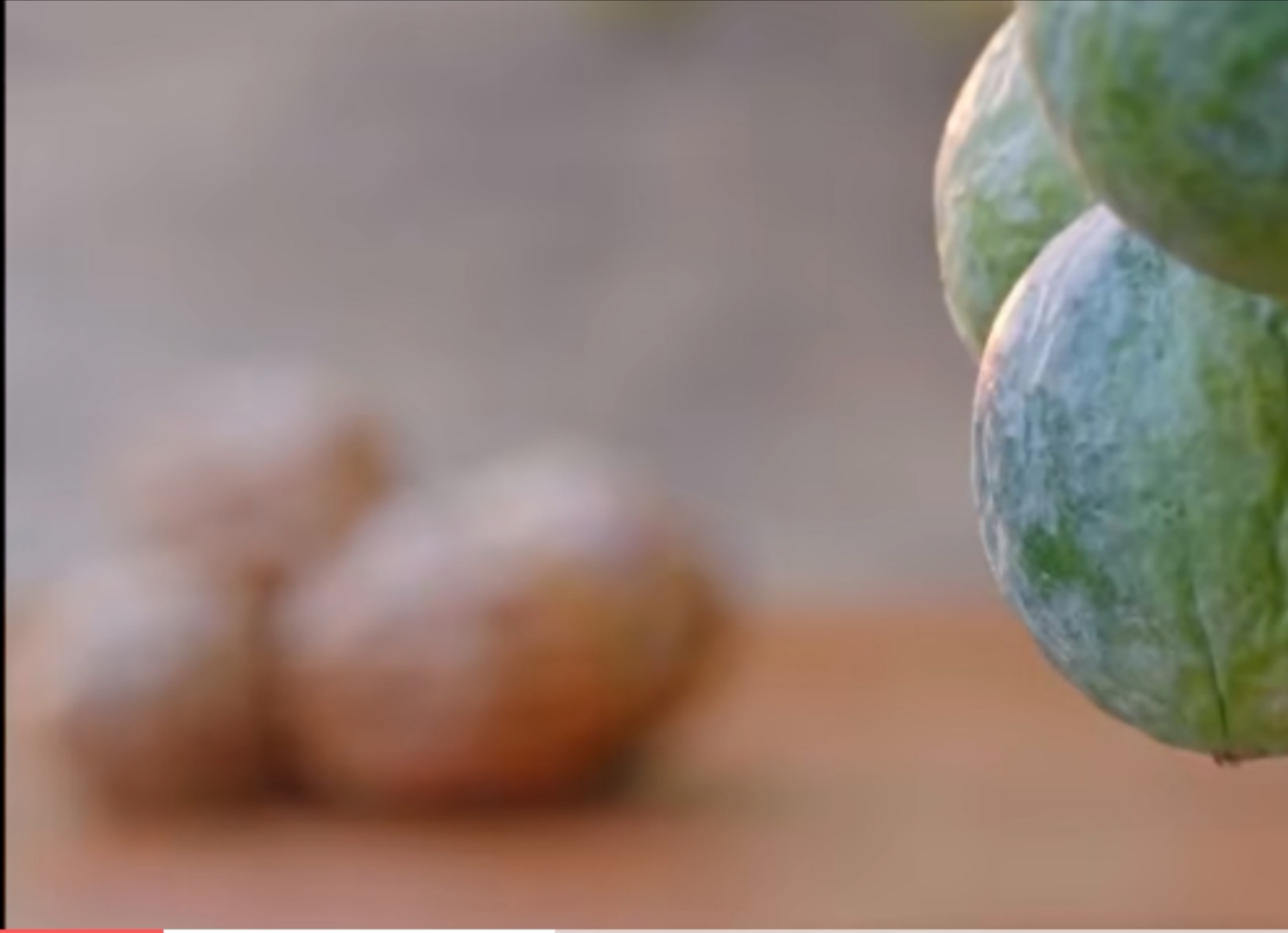 瓜蒌栽培技术视频,中药材瓜蒌种植技术与方法