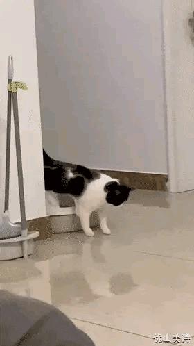 鍝堝搱鍥剧墖鎼炵瑧,鍝堝搱鎼炵瑧鍥剧墖