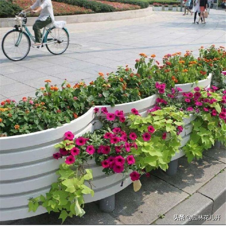 阳台花箱景观设计,景观花架花箱设计