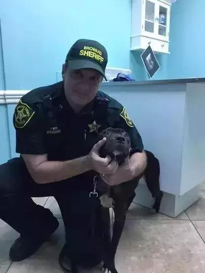 闻毒品的缉毒犬会因此染上毒瘾吗,缉毒犬是不是让它有毒瘾