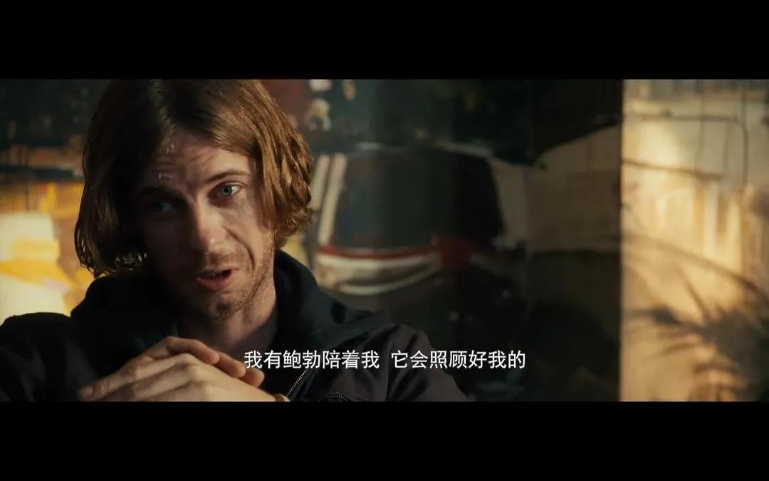 猫咪脾气不好怎么教,猫咪脾气很差怎么办