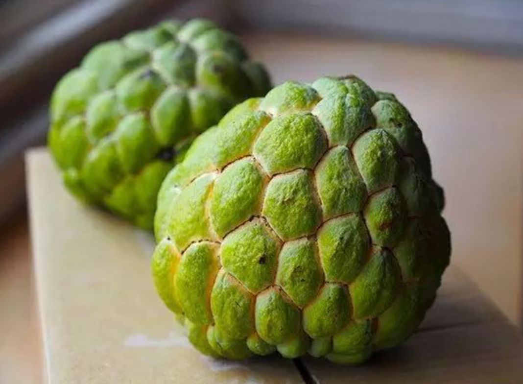 真的是活久见!长成这样居然能吃?