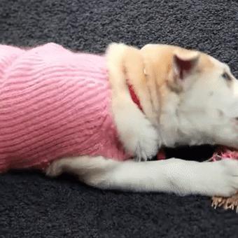 家里不穿的旧衣服都扔掉,家里不穿的旧衣服别再扔垃圾桶了