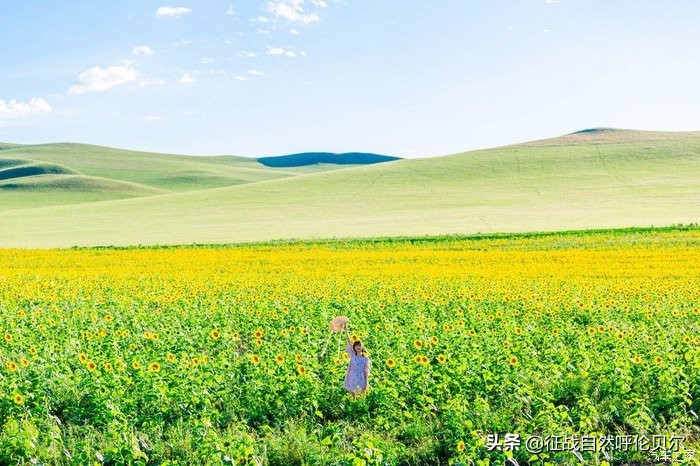 我来到你的城市走过你熟悉的街,我来到你的城市走过你走的路