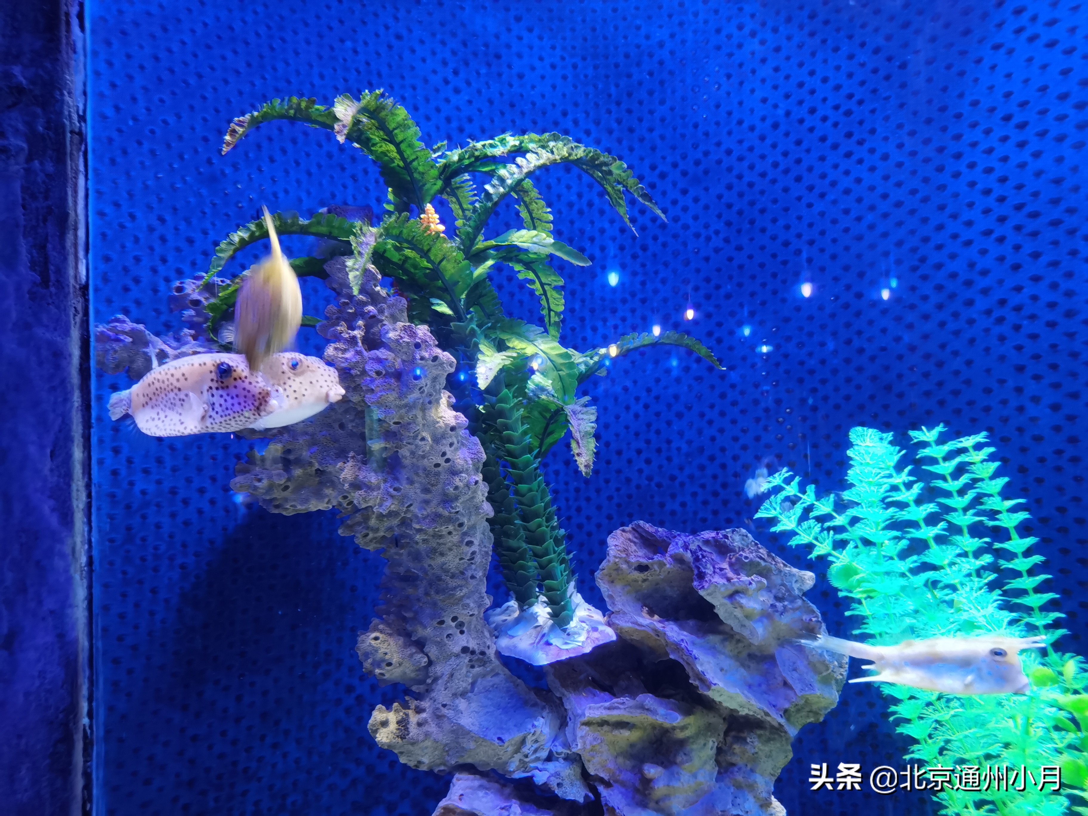 北京海底世界游览时间表,北京海底世界值得玩