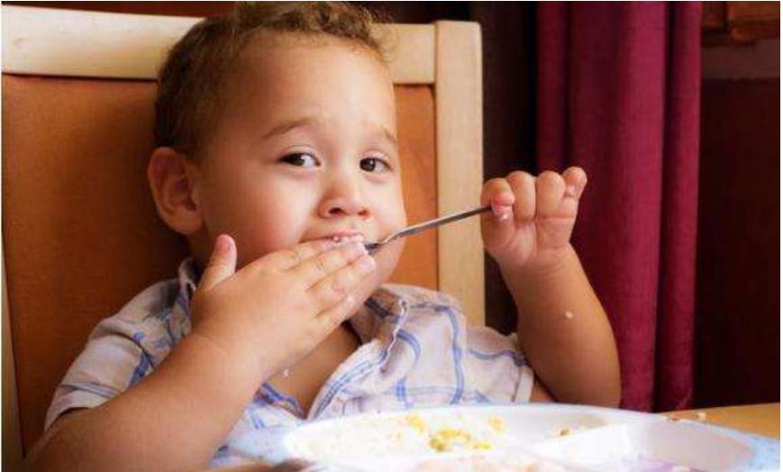 只吃肉不吃素的孩子,只吃肉不吃饭的宝宝