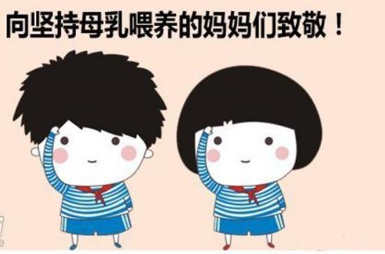 产后修复追奶汤,下奶汤催奶宝有用吗