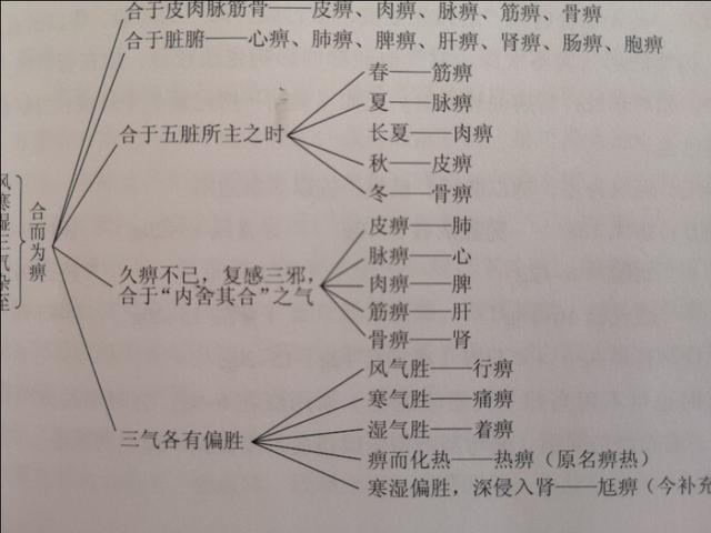 婴幼儿麻疹,儿童病毒性麻疹