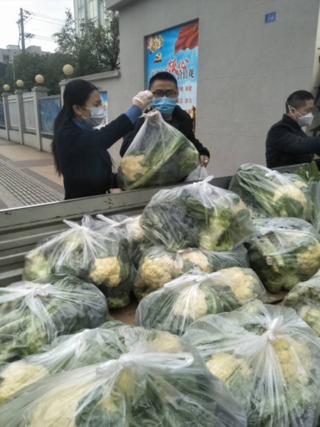 风雨中，我们就在您身旁——大英县水利局战疫战贫速写