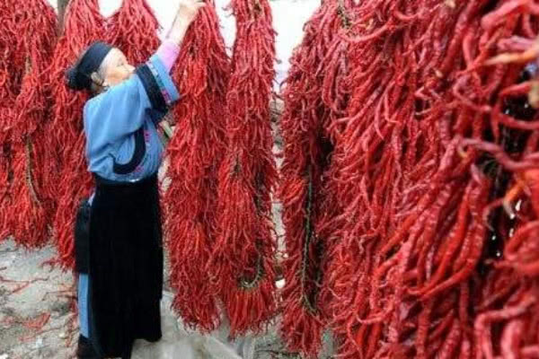 无辣不欢吃起来痛快,无辣不欢吃一口滋滋冒汗