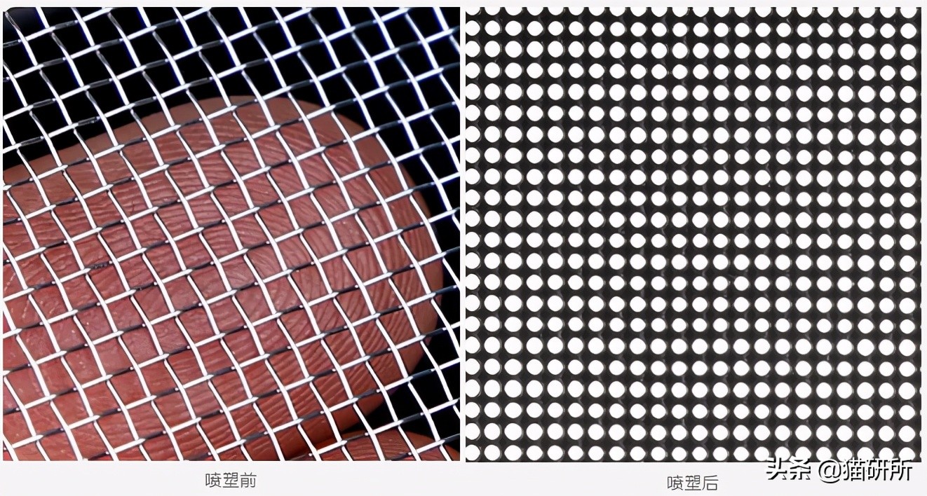 高层养猫到底要不要封窗,封窗养猫