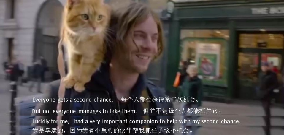 流浪猫鲍勃和美国女主隔窗击掌,猫鲍勃和主人击掌