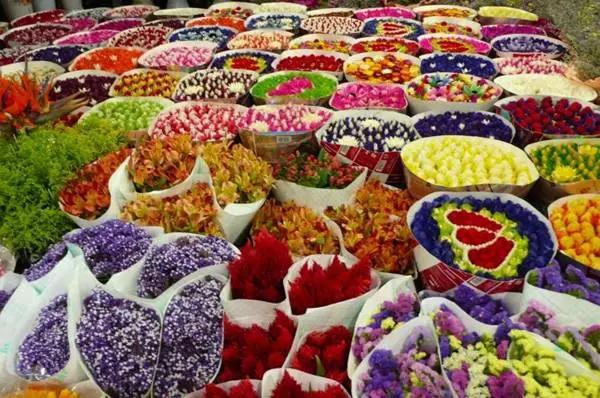 昆明游玩攻略不花钱的地方推荐,昆明市市区游玩攻略