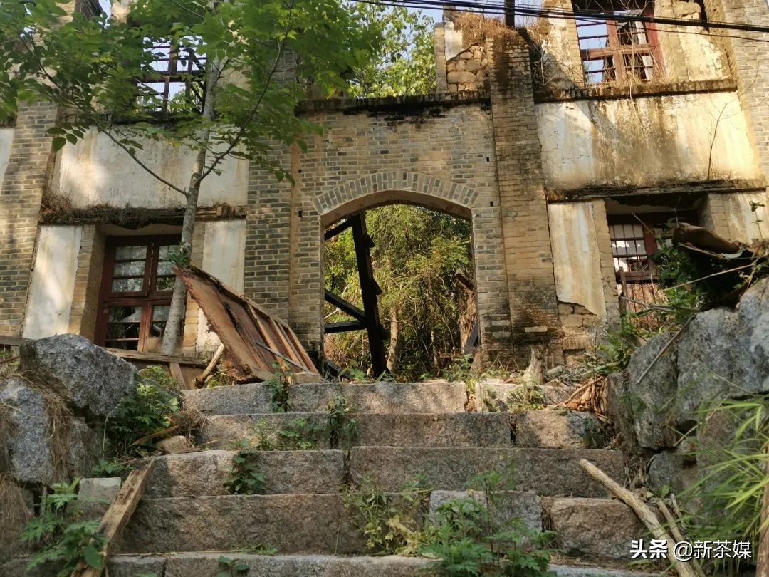 南糯山茶叶的故事,南糯山茶厂视频