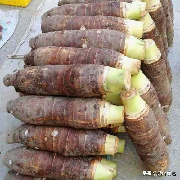 奉化芋头好吃还是荔浦芋头好吃,中国哪个地方的芋头最好吃