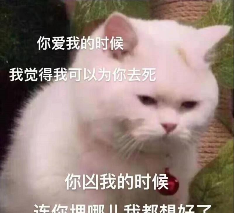 剑网三藏剑故事介绍,剑网3指尖江湖藏剑和纯阳哪个好