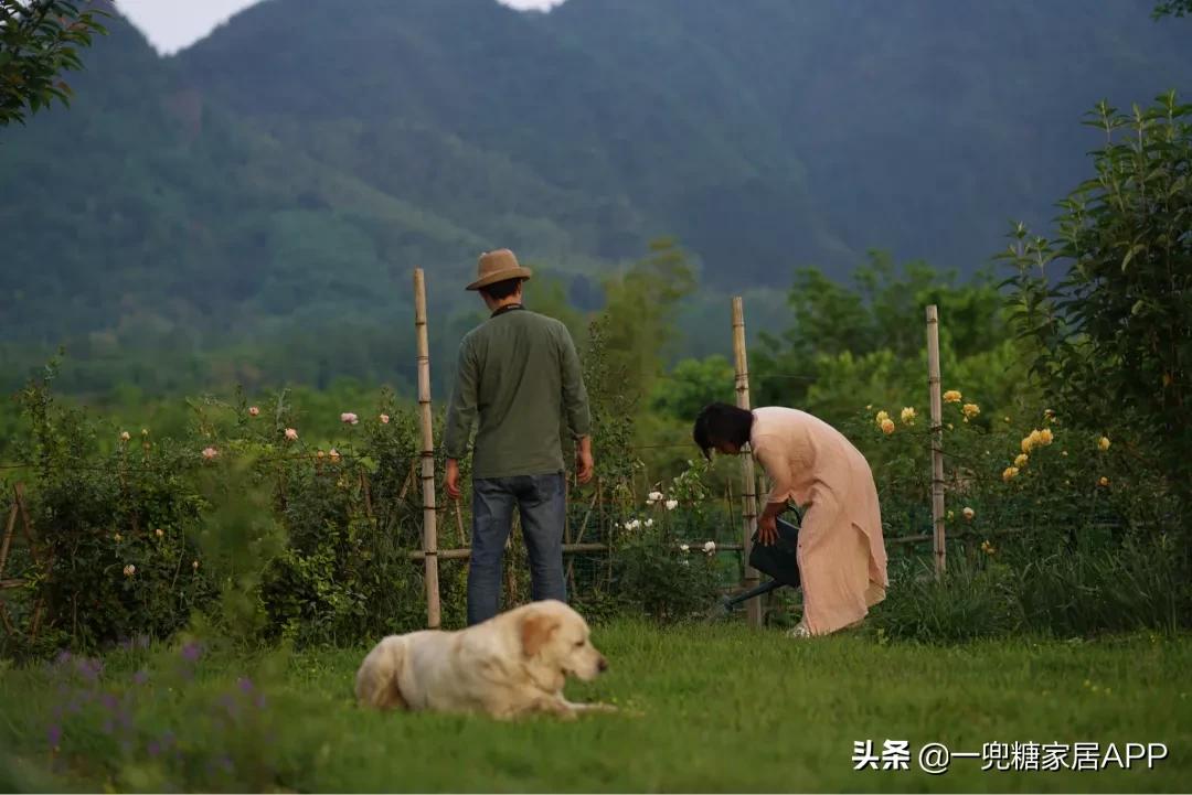 绉嶈崏鐢熸椿鏂瑰紡,绉嶈崏缁囧竷