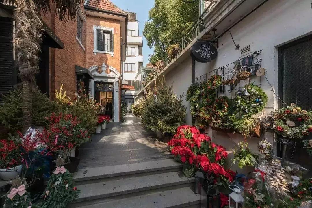 上海迪士尼春日,上海打卡的自然风景