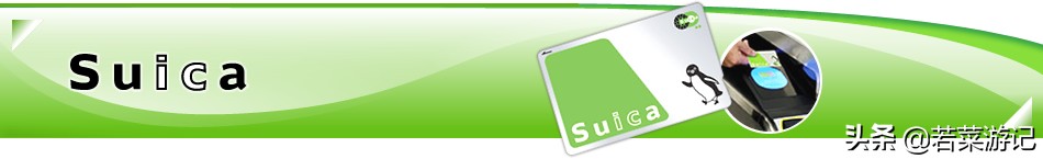 一卡通用日本西瓜卡suica介绍购买使用攻略干货