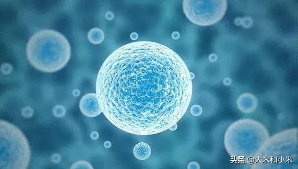 自闭症生物疗法骗局,生物医疗干预自闭症