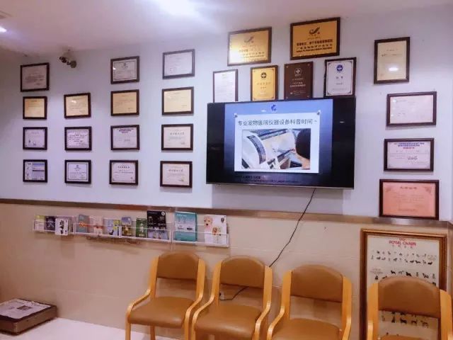 南宁二十四小时宠物医院,南宁宠物医院24小时急诊多少钱