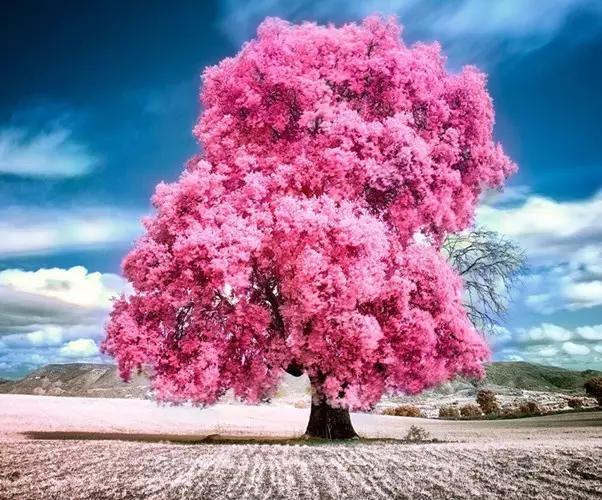 汉字知识大分享,国人必知的汉字常识